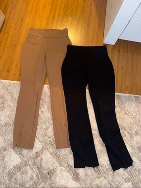 Express Straight Leg Ponte Pants in Black and Brown